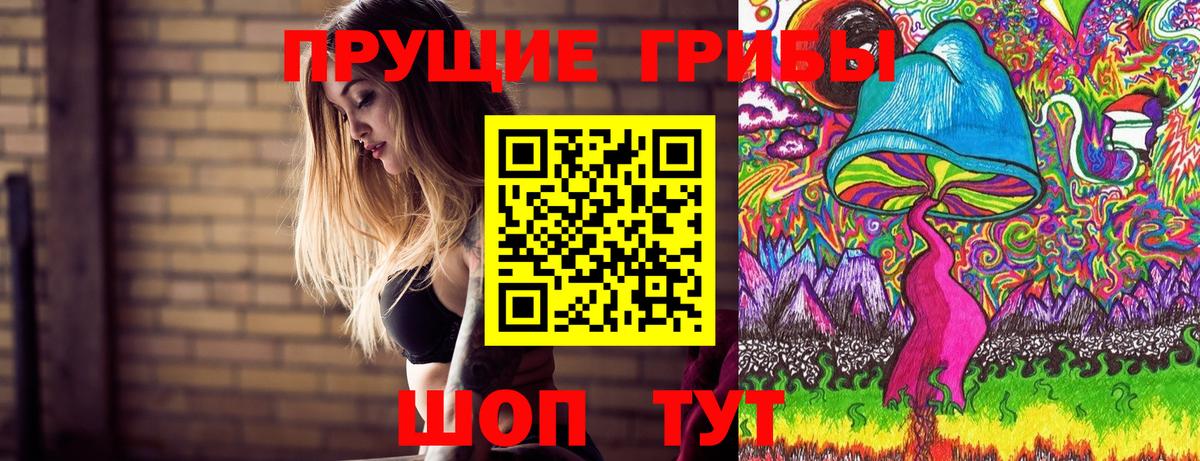 Прохладный  Псилоцибиновые грибы MAGIC MUSHROOMS  Вход с VPN 
