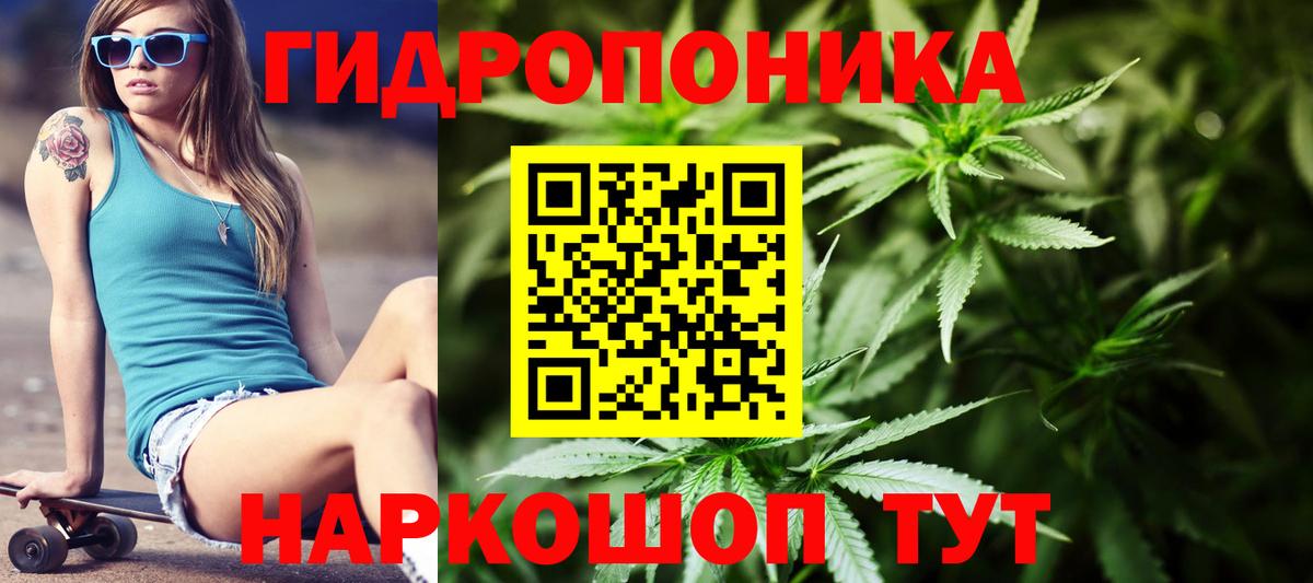 Конопля план  Вход с VPN  Прохладный  МАРИХУАНА гибрид  Бошки Шишки конопля 